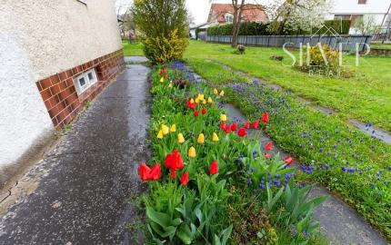 Rodinný dom, Pri štadióne, Bard. Nová Ves, Bardejov
