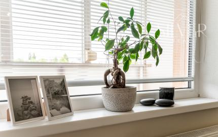 Predané! Garsónka, nám. L. Novomeského, Košice