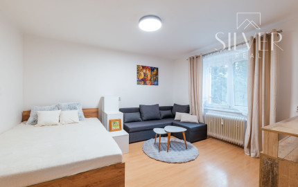 Prenajaté!  Jednoizbový byt, Jesenná ulica, Košice