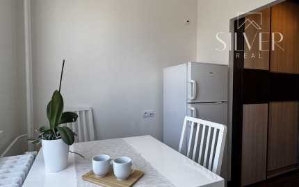 Prenajaté! Jednoizbový byt s loggiou, Braniskova, Košice