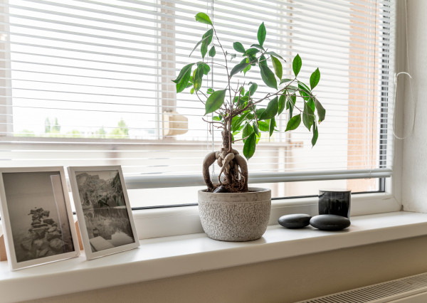 Predané! Garsónka, nám. L. Novomeského, Košice