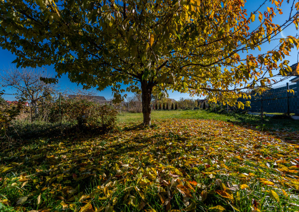 Rodinný dom, Kostolná, Valaliky