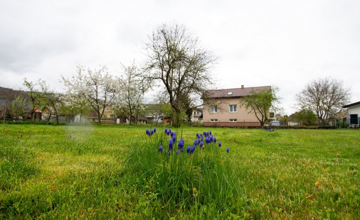 Rodinný dom, Pri štadióne, Bard. Nová Ves, Bardejov - fotografia 4